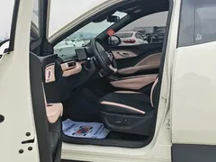 2025 BYD Seagull Smart Driving 305km Freedom, белый — фото 10