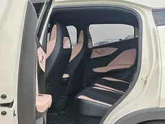 2025 BYD Seagull Smart Driving 305km Freedom, белый — фото 11