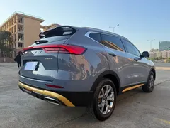 2021 Haval H6 1.5T AT Champion — фото 6