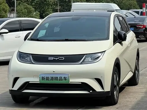 2023 BYD Dolphin 420km Fashion