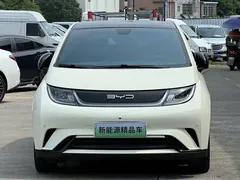 2023 BYD Dolphin 420km Fashion — фото 2