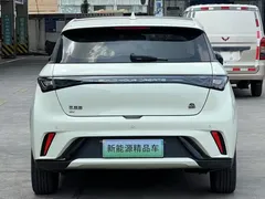 2023 BYD Dolphin 420km Fashion — фото 6