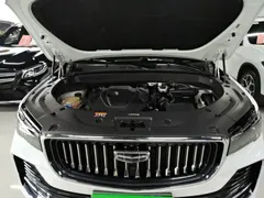 2021 Geely Monjaro 2.0TD DCT EVO 2WD Premium, белый — фото 20
