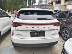 2021 Haval H6 3rd Gen 1.5T AT 2WD Pro, белый — фото 15