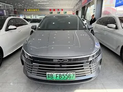 2024 BYD Destroyer 05 DM-i PHEV 55km Luxury — фото 2