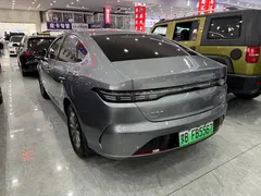 2024 BYD Destroyer 05 DM-i PHEV 55km Luxury — фото 14