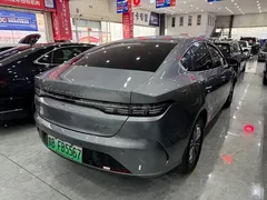 2024 BYD Destroyer 05 DM-i PHEV 55km Luxury — фото 15