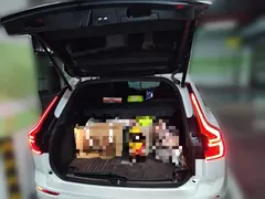2022 Volvo XC60 4WD Luxury, белый — фото 10