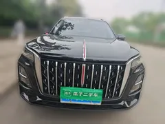 2025 Hongqi HS5 2.0T 2WD Qixiang Pro, чёрный — фото 2