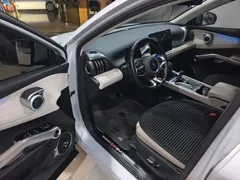2024 BYD Yuan PLUS Honor 510KM Leading — фото 12