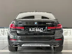2021 BMW 5 Series 530Li Premium M Sport Package, чёрный — фото 6