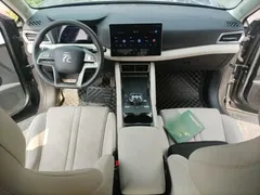 2024 BYD Yuan UP 401km Leading — фото 5