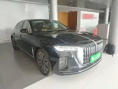 2025 Hongqi H9 2.0T 2WD Qichang Luxury Business 5-seat, чёрный — фото 4