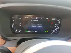 2024 Hongqi HQ9 2.0T PHEV 4WD Business — фото 8