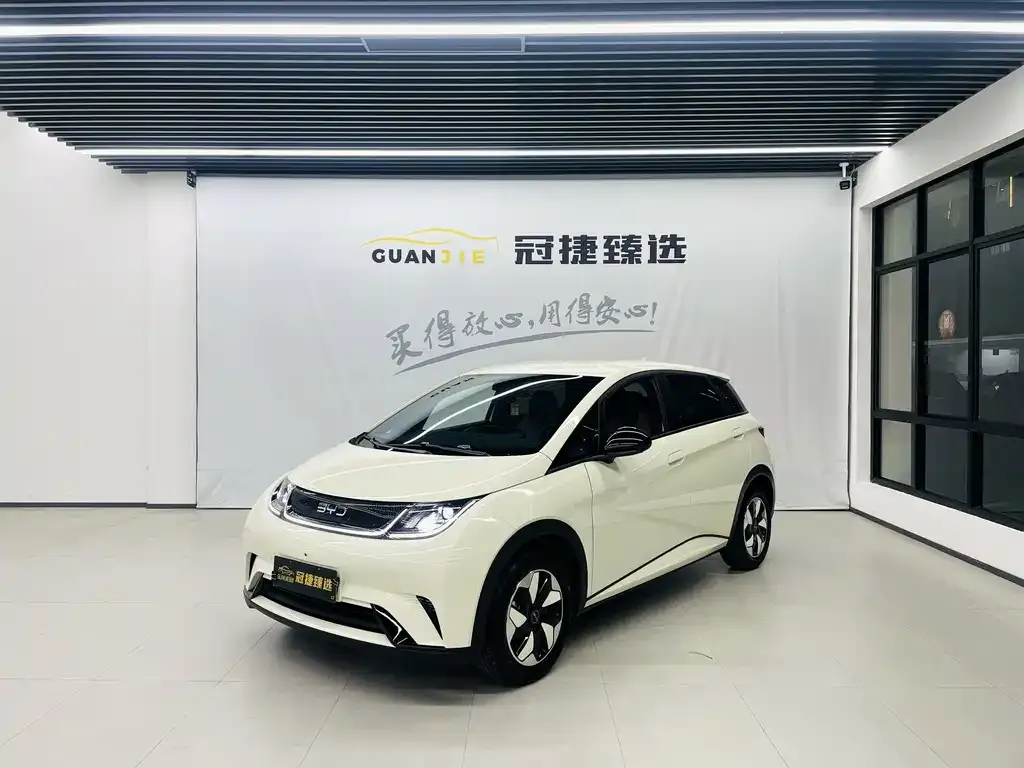 2025 BYD Dolphin 420km Freedom