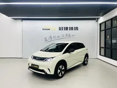 2025 BYD Dolphin 420km Freedom — фото 1