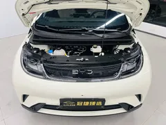 2025 BYD Dolphin 420km Freedom — фото 2