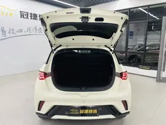 2025 BYD Dolphin 420km Freedom — фото 13