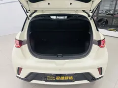 2025 BYD Dolphin 420km Freedom — фото 14