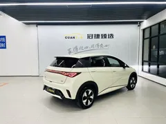 2025 BYD Dolphin 420km Freedom — фото 15
