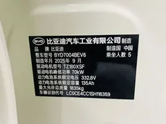2025 BYD Dolphin 420km Freedom — фото 16