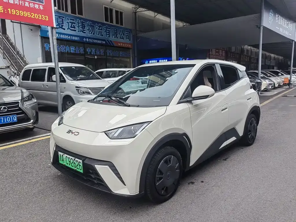 2025 BYD Seagull 305km Vitality