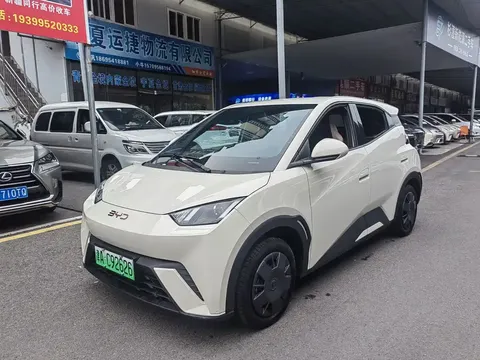 2025 BYD Seagull 305km Vitality