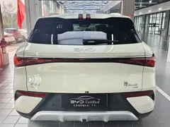 2025 BYD Yuan PLUS EV 510km, белый — фото 10
