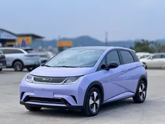 2023 BYD Dolphin 420km Fashion — фото 1