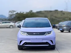 2023 BYD Dolphin 420km Fashion — фото 2
