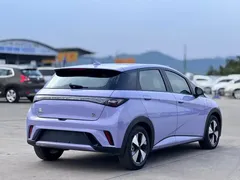 2023 BYD Dolphin 420km Fashion — фото 14