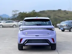 2023 BYD Dolphin 420km Fashion — фото 15