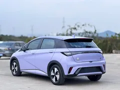 2023 BYD Dolphin 420km Fashion — фото 16