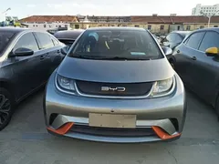 2021 BYD Dolphin 405km Fashion — фото 3