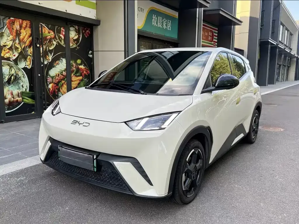 2025 BYD Seagull Smart Driving 305km Freedom