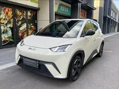 2025 BYD Seagull Smart Driving 305km Freedom — фото 1