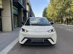 2025 BYD Seagull Smart Driving 305km Freedom — фото 2