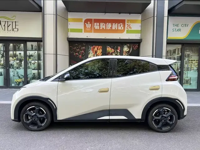 2025 BYD Seagull Smart Driving 305km Freedom