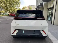 2025 BYD Seagull Smart Driving 305km Freedom — фото 4