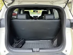 2025 BYD Seagull Smart Driving 305km Freedom — фото 9