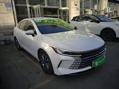 2024 BYD Destroyer 05 DM-i PHEV 55km Luxury, белый — фото 4