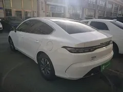 2024 BYD Destroyer 05 DM-i PHEV 55km Luxury, белый — фото 5