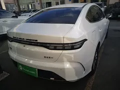 2024 BYD Destroyer 05 DM-i PHEV 55km Luxury, белый — фото 6