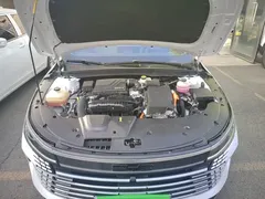 2024 BYD Destroyer 05 DM-i PHEV 55km Luxury, белый — фото 20