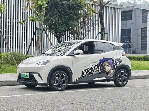 2024 BYD Seagull EV Glory 405km Flying