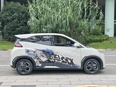2024 BYD Seagull EV Glory 405km Flying, белый — фото 5