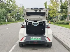 2024 BYD Seagull EV Glory 405km Flying, белый — фото 18
