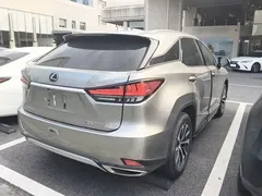 2020 Lexus RX 300 2WD Elite — фото 5