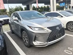 2020 Lexus RX 300 2WD Elite — фото 22