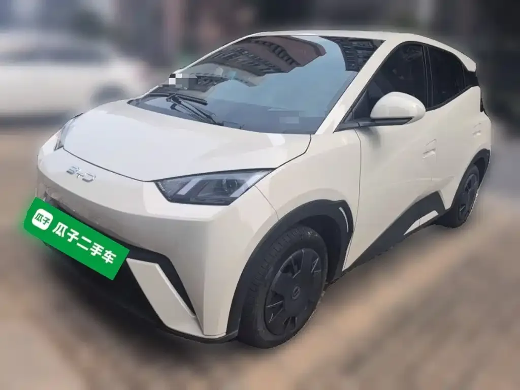 2025 BYD Seagull 305km Vitality
